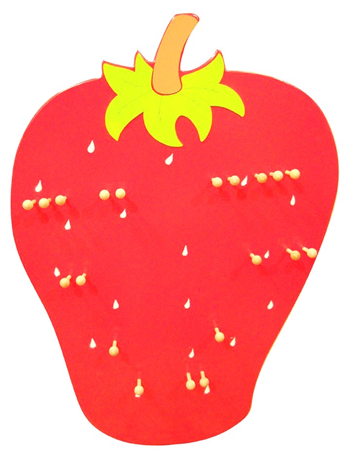 ÇİLEK MÜZİK KÖŞESİ 80 cm