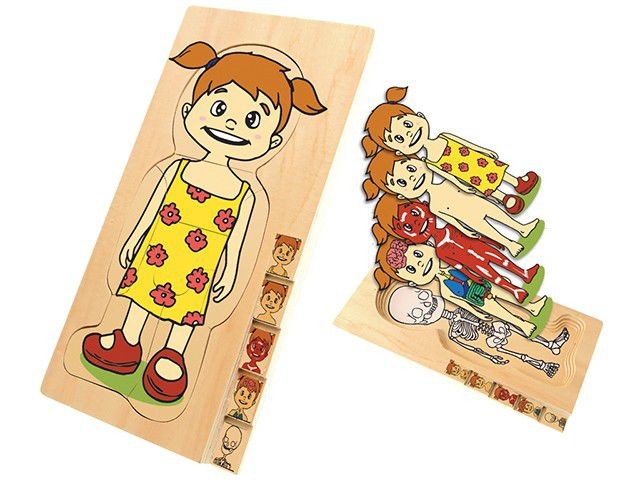 VUCUT KATMANLARI KIZ PUZZLE